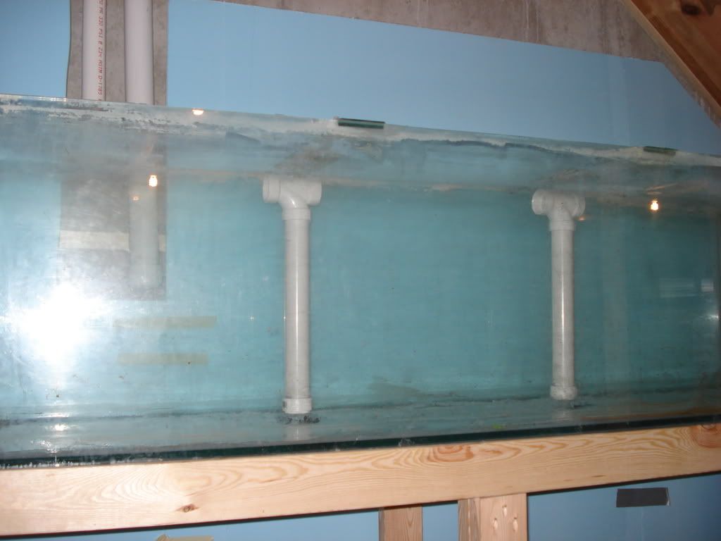 DSC02037.jpg