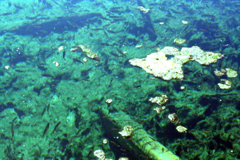 005-2.jpg