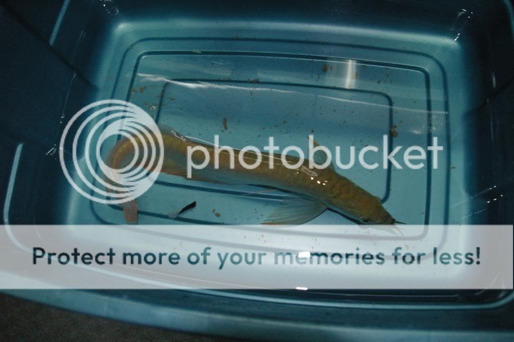 IMGP6313.jpg