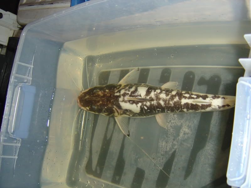 5-6-08006.jpg
