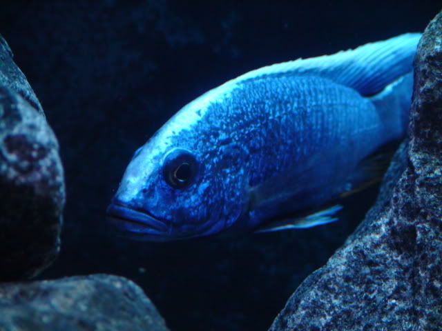DSC01537.jpg