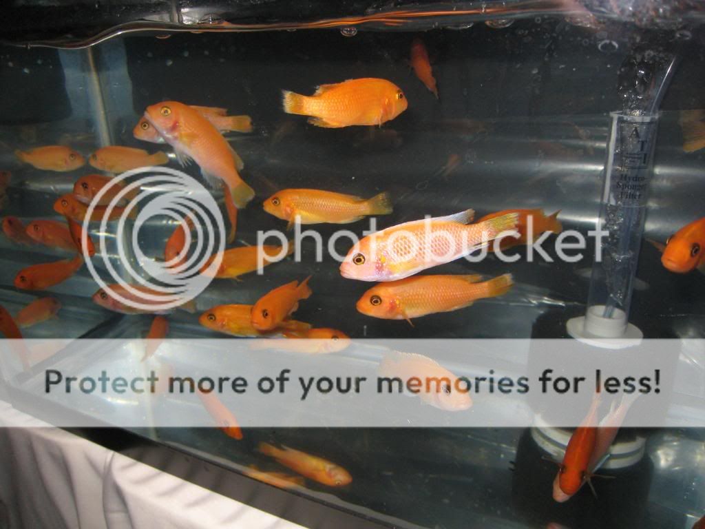 IMG_9371.jpg