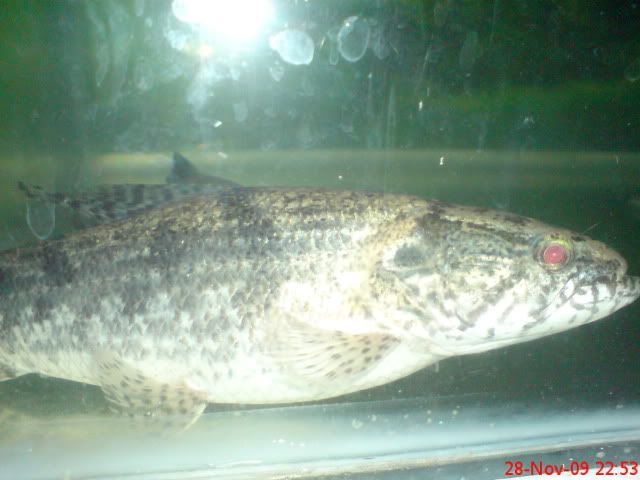 DSC00326.jpg