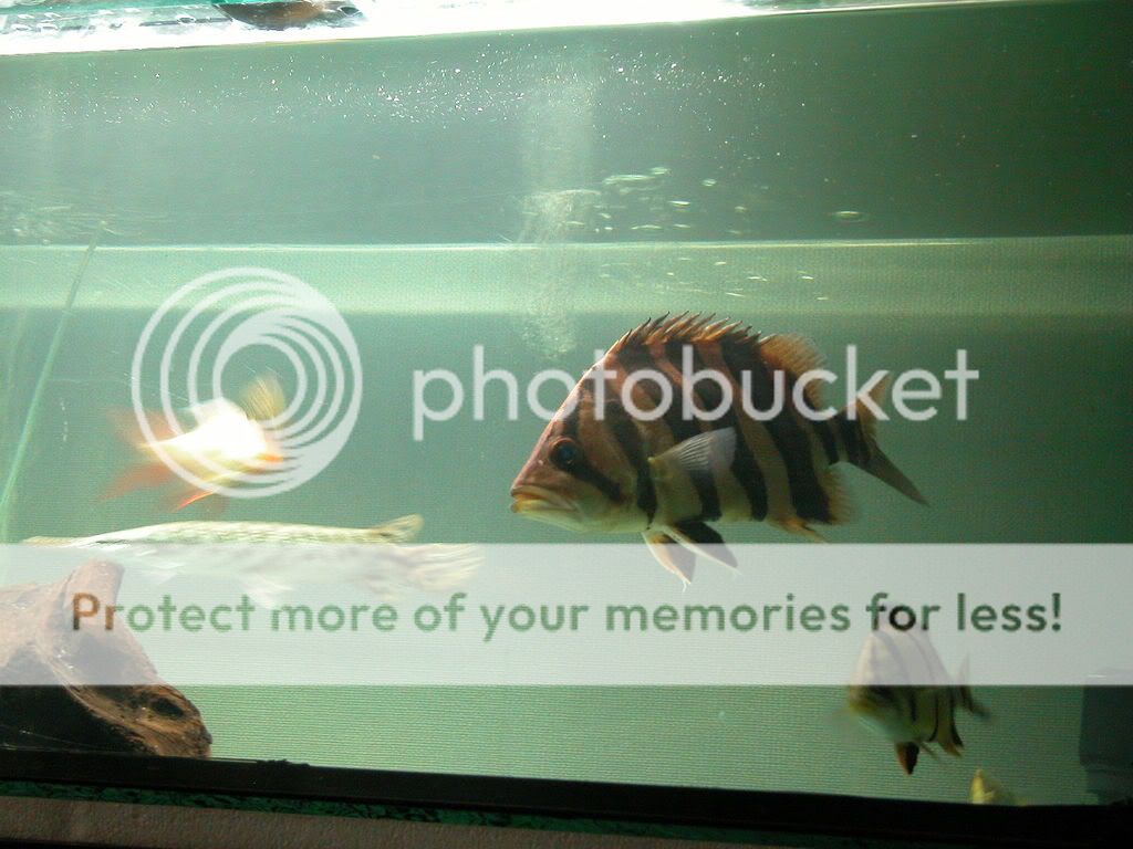 DSCN0417.jpg