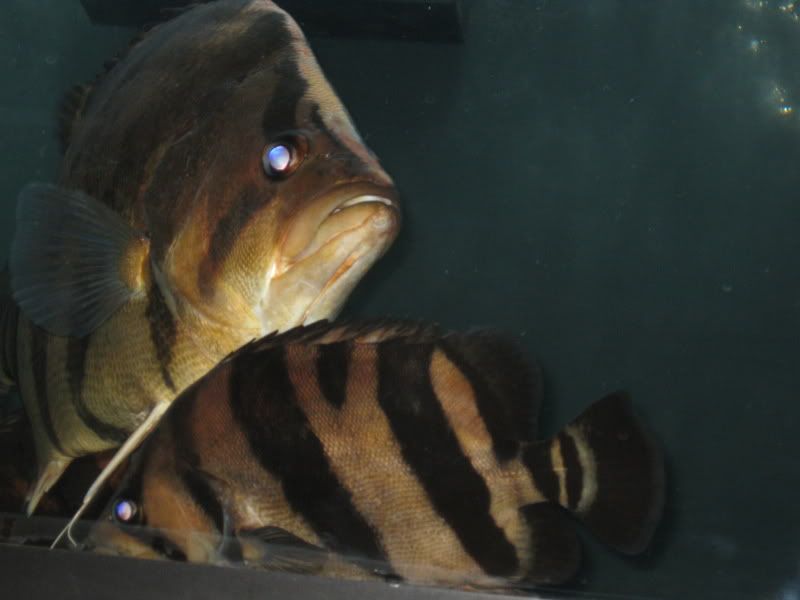 4-25-09045.jpg