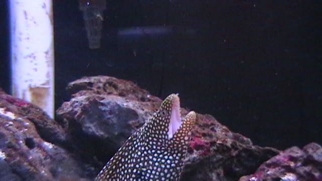IMGA0505.jpg