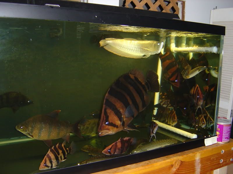 7-15-08006.jpg