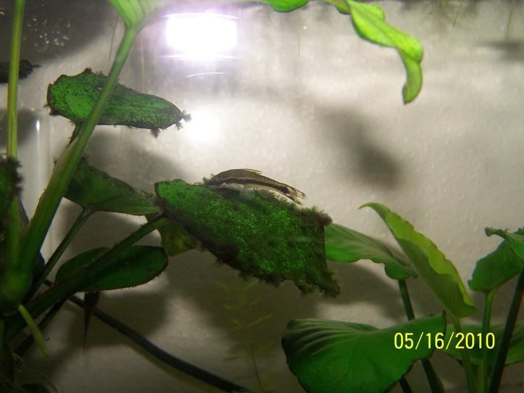 Picture116.jpg