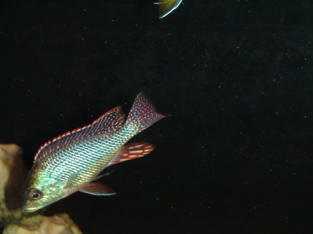 DSC01708.jpg