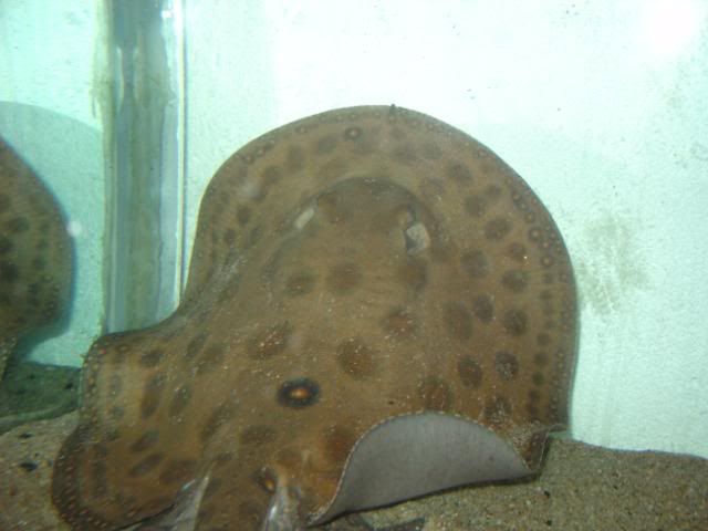 DSC08416.jpg