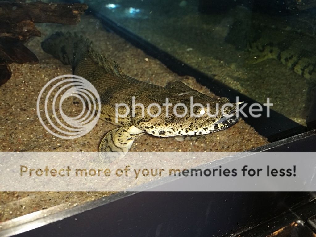 20160803_152324_zpsztbcvava.jpg