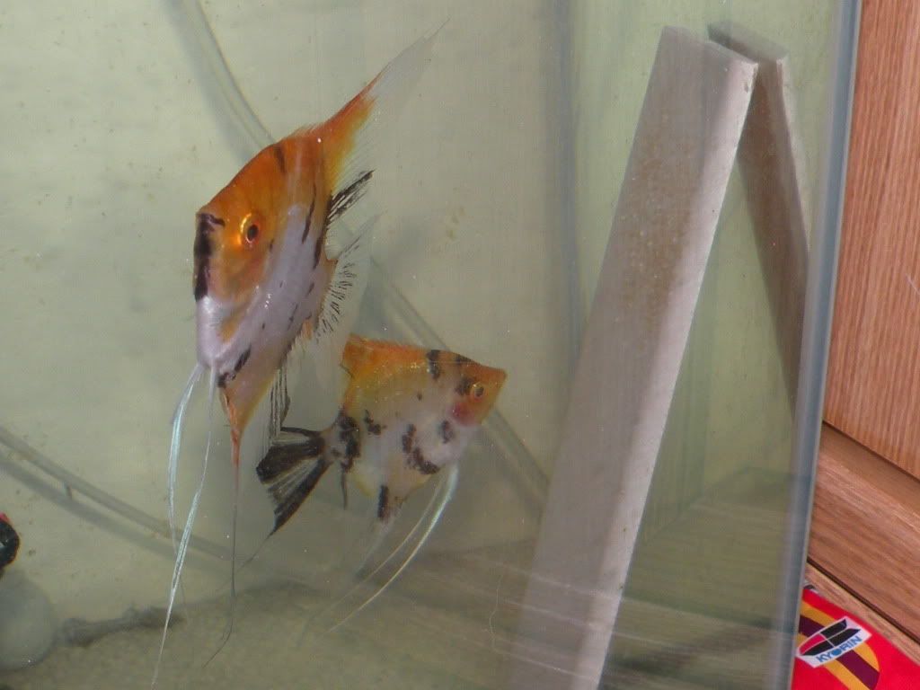 RSCN0816.jpg
