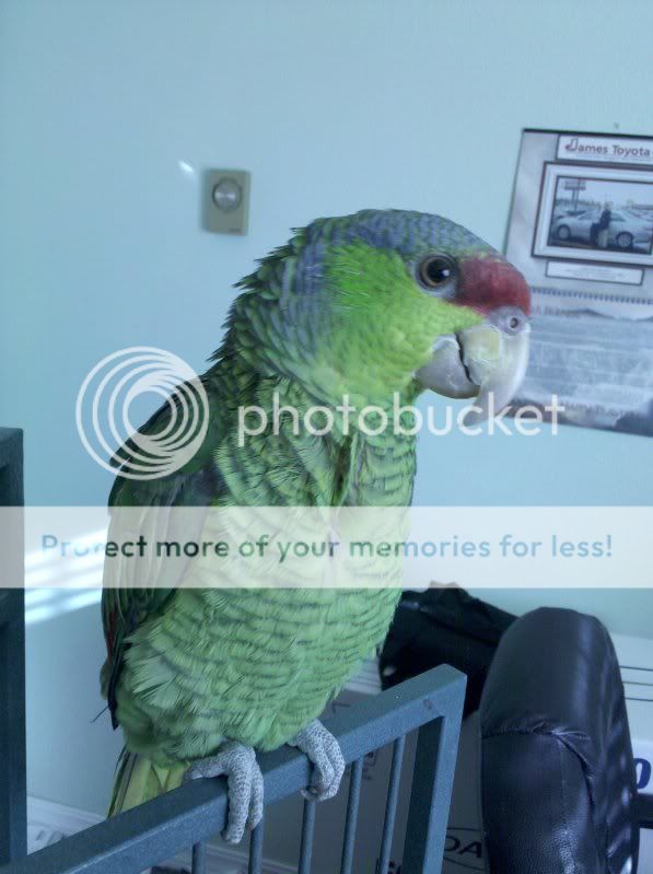 2010-02-20145711.jpg