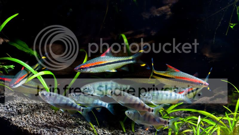 IMG_0820.jpg