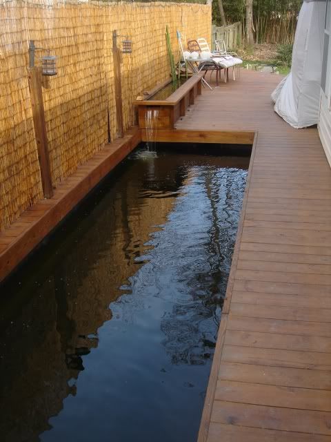 DSC08896.jpg