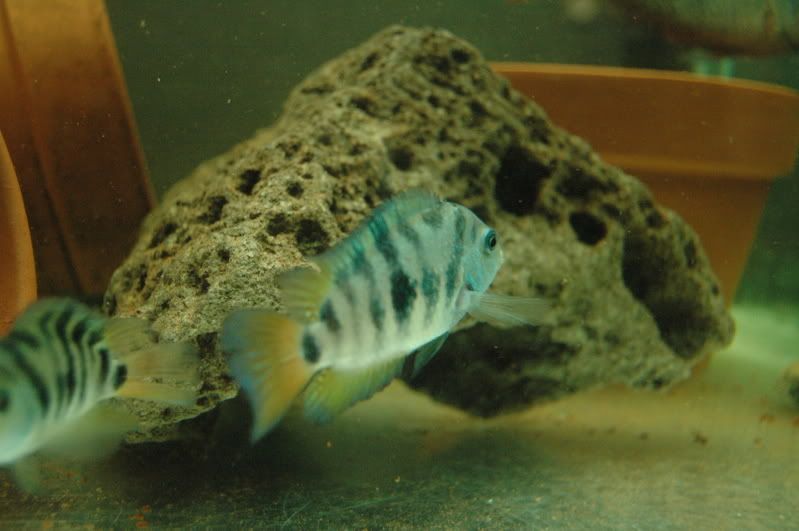 DSC_3706.jpg
