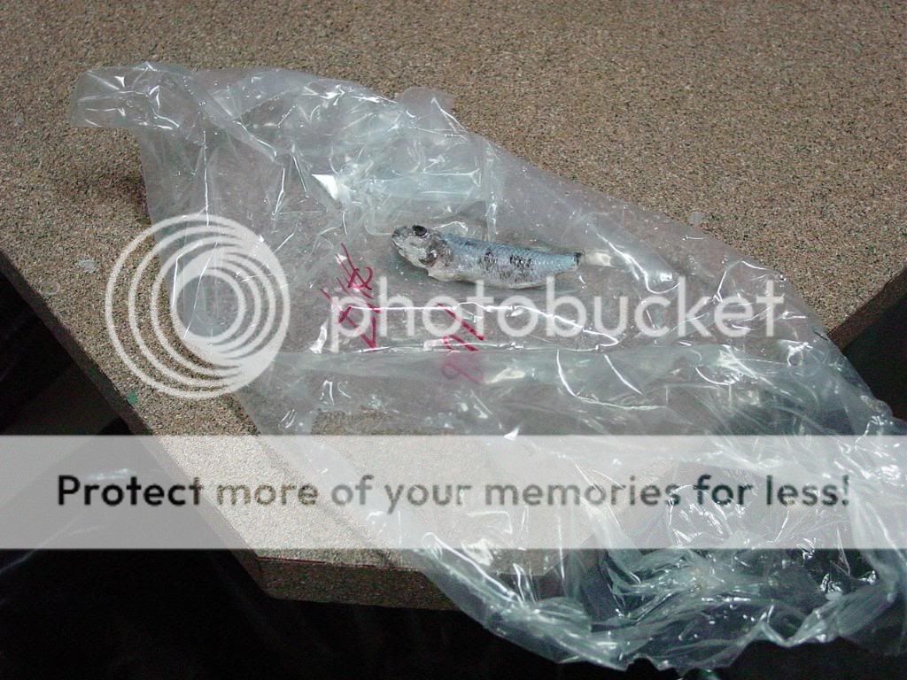 DSC08860.jpg