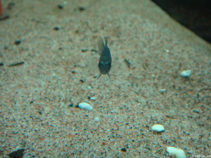 1kcfz8w9_DSC02274.JPG