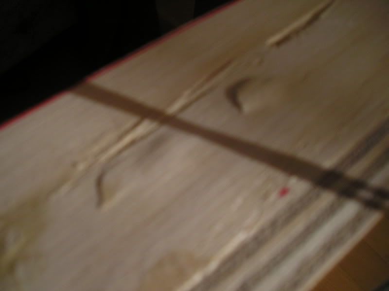 P1010034.jpg