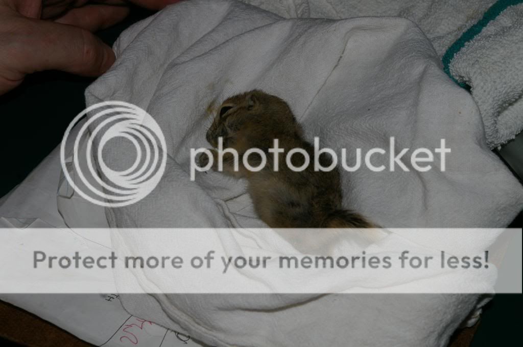 IMGP8451.jpg
