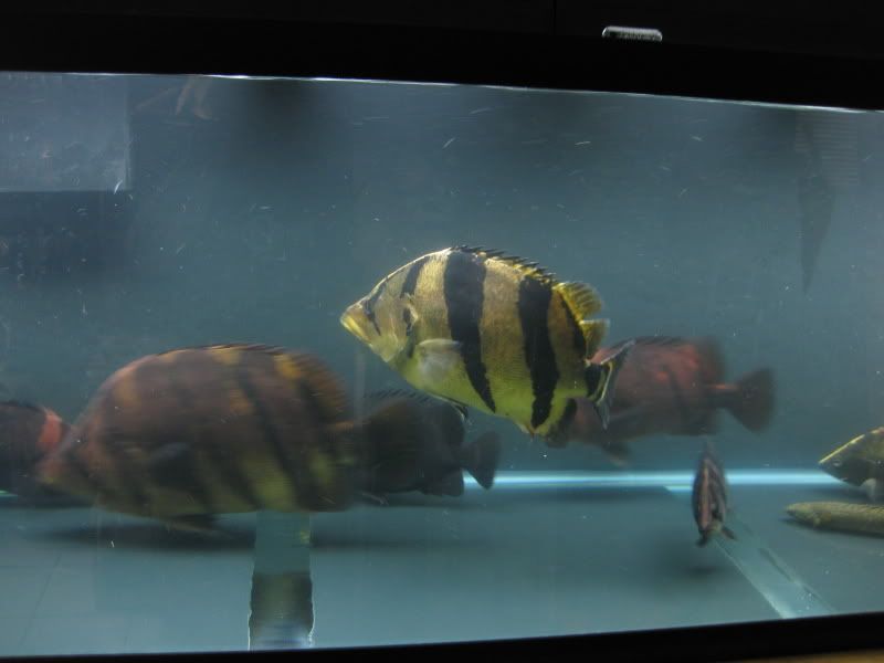 4-19-09022.jpg