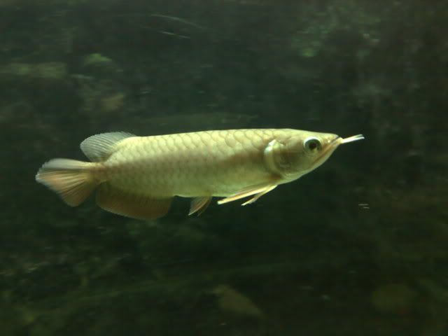 110120081388.jpg