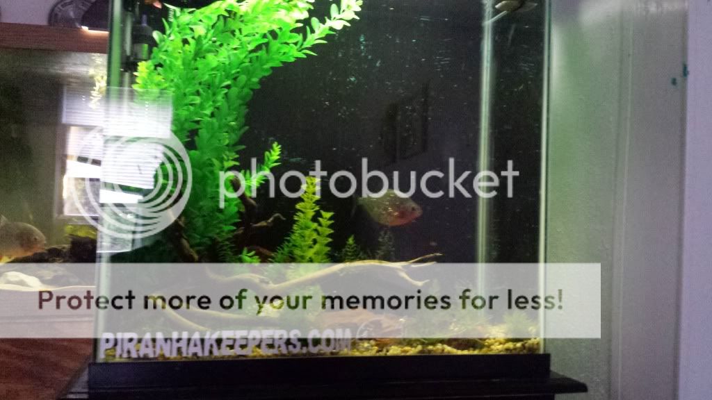 20130830_125536_zpsa6085f30.jpg