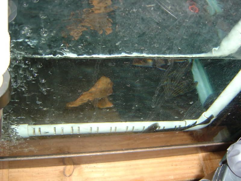 2-15-08014.jpg
