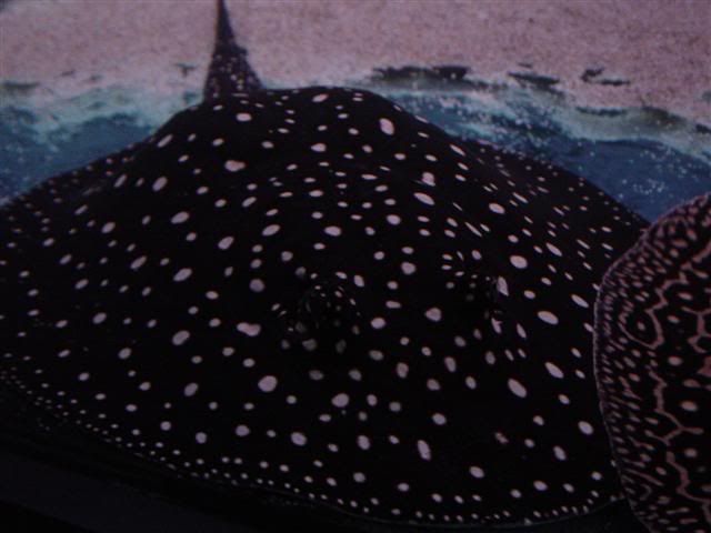 DSC01329Small.jpg