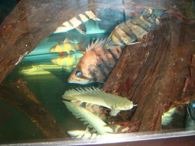 DSC01104.jpg