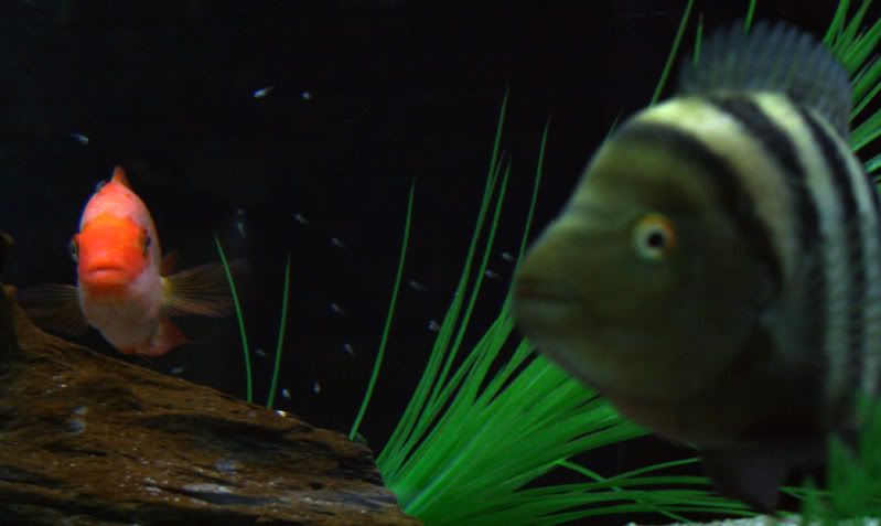 300x11.jpg