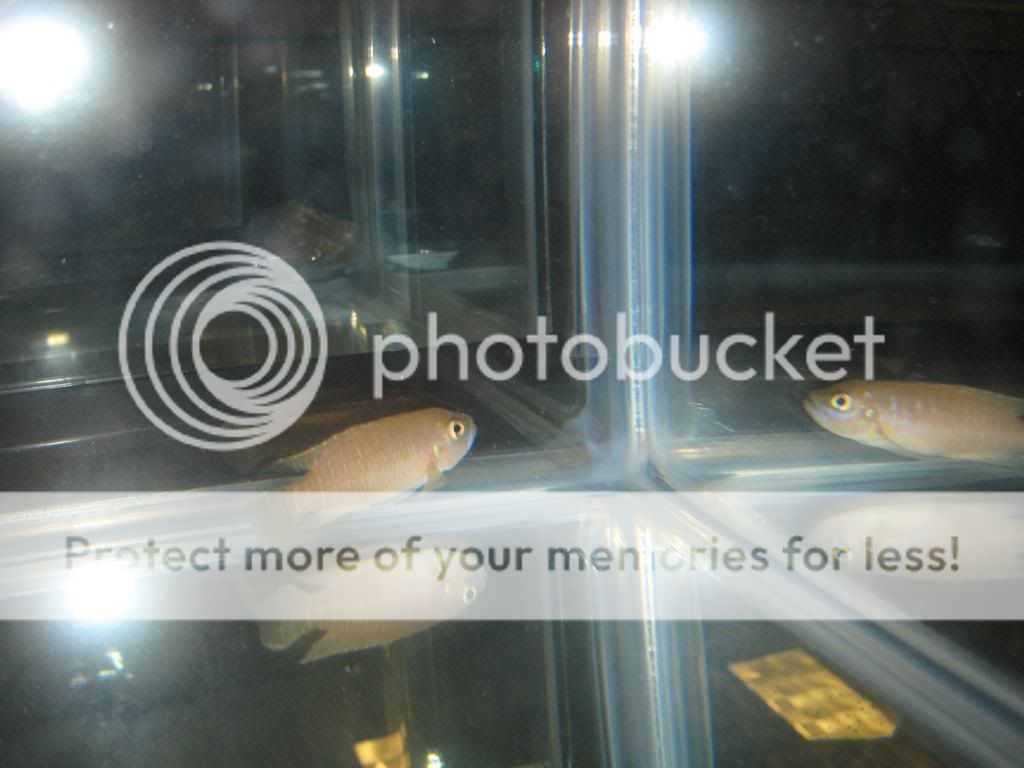 IMG_9515.jpg