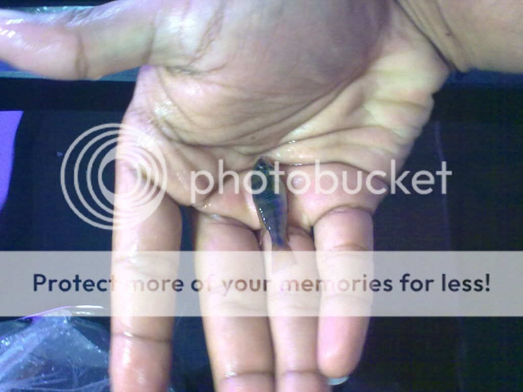 10062009182.jpg