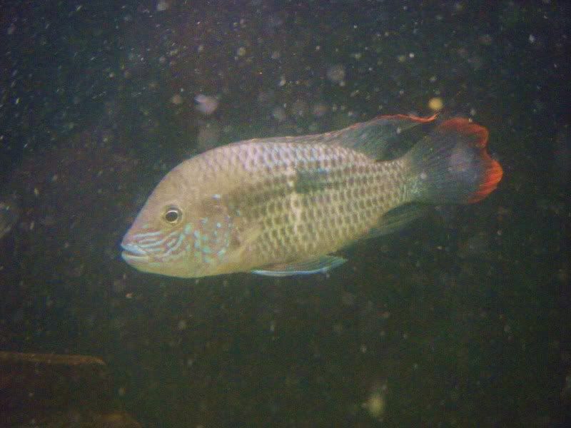 DSCF3130.jpg