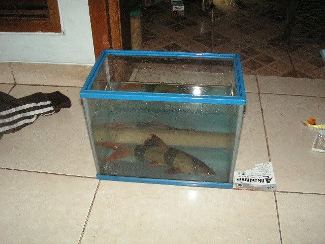 PICT0550.jpg