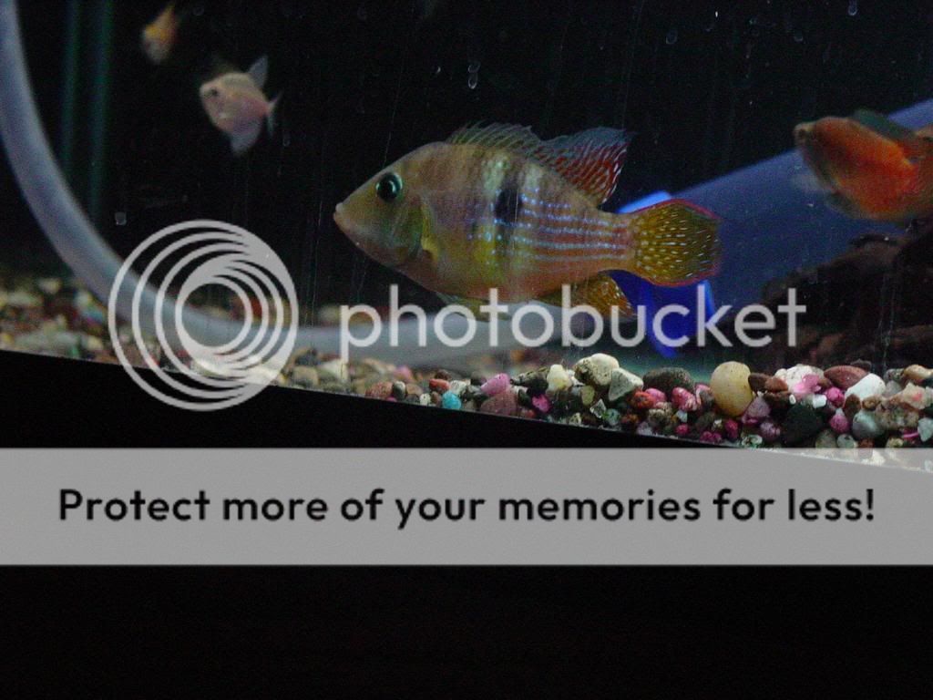 DSC08431.jpg