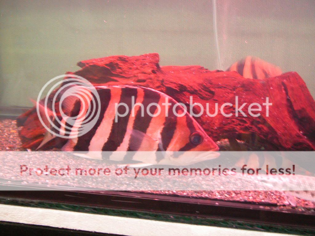 DSCN0225.jpg