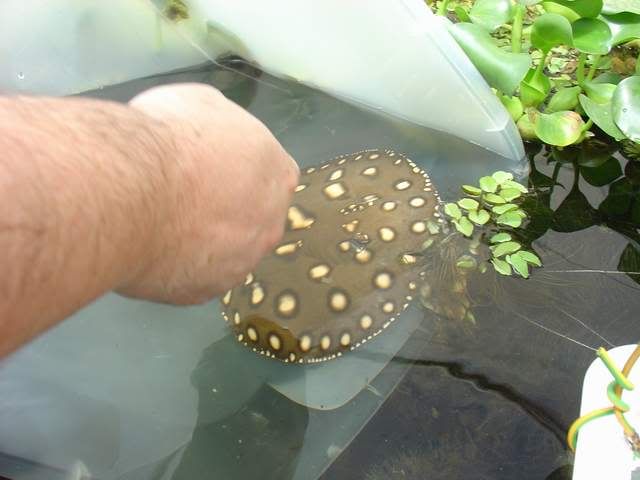 DSC06624.jpg