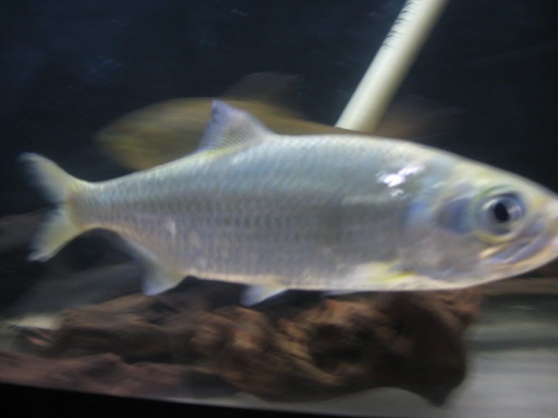 5-17-08019.jpg