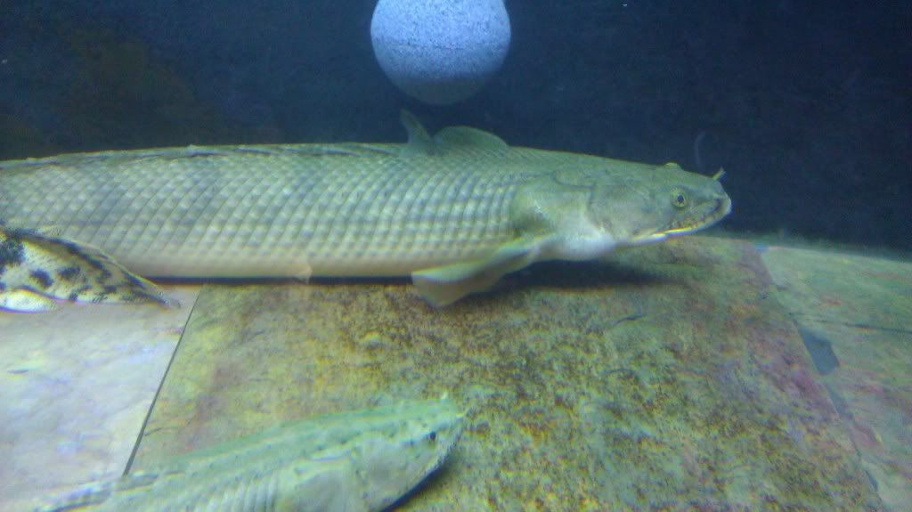 IMAG0929.jpg