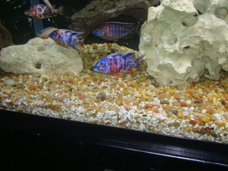 DSC02389.jpg
