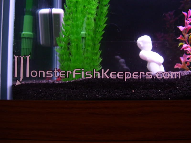 100_0707.jpg