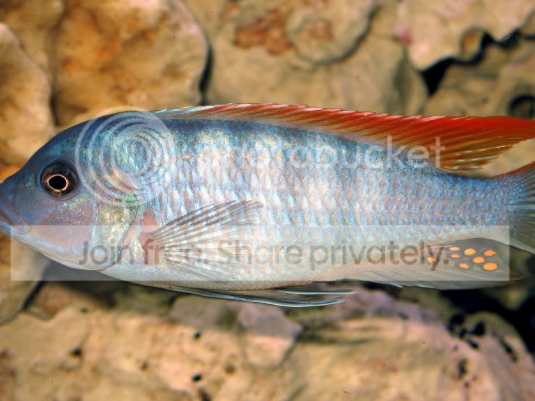 IMG_0051.jpg