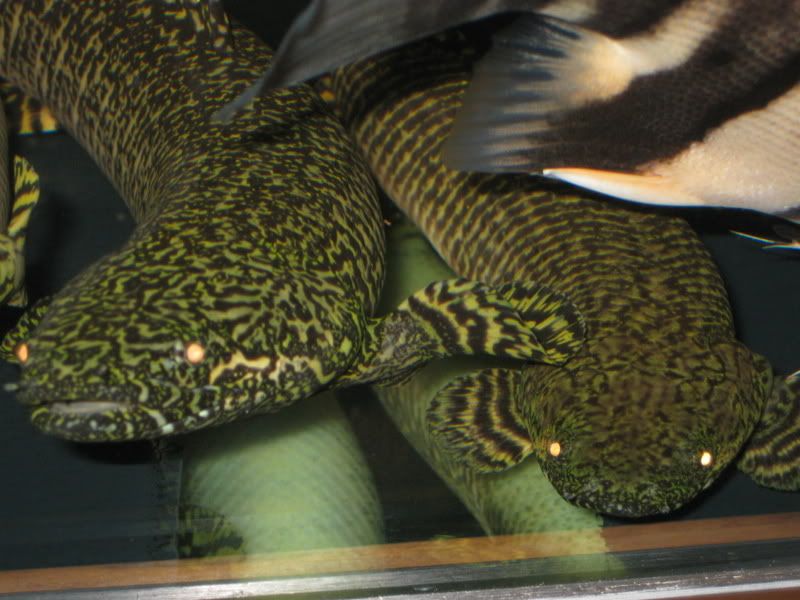 12-23-08042.jpg