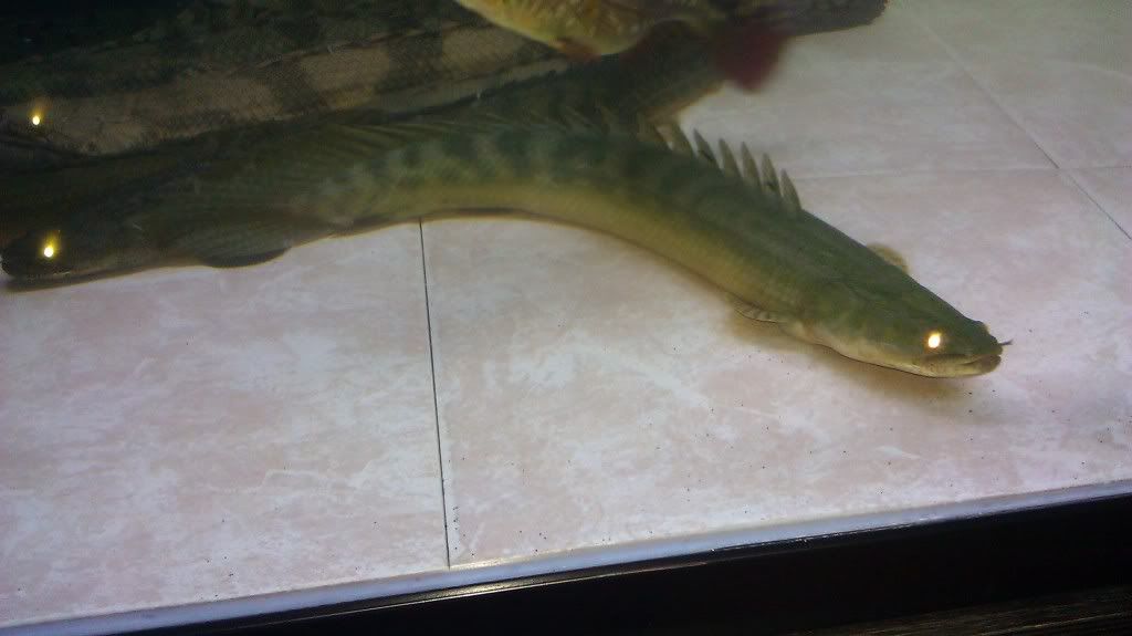 IMAG0642.jpg