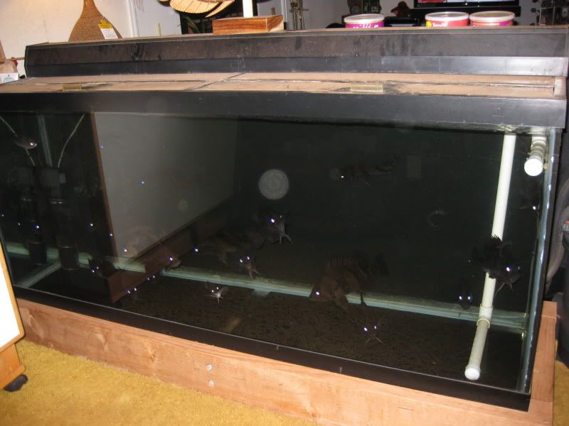 11-7-09046.jpg
