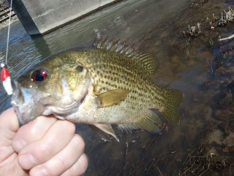2012-03-14154446.jpg