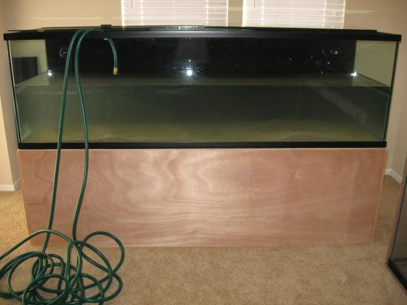 Picture147.jpg