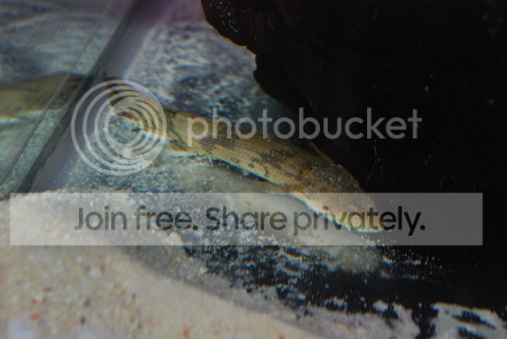 DSC_1109.jpg