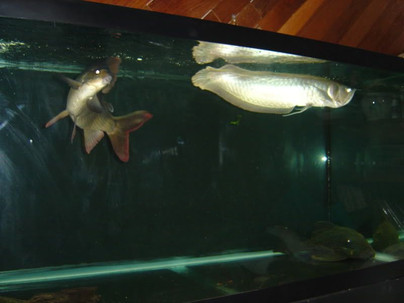 9-22-08025.jpg